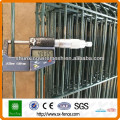 PVC coated steel trellis fence wire mesh fence